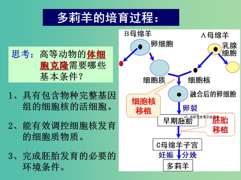 高中生物 第二章 第1节 什么是克隆课件 浙教版必修3.ppt_第3页