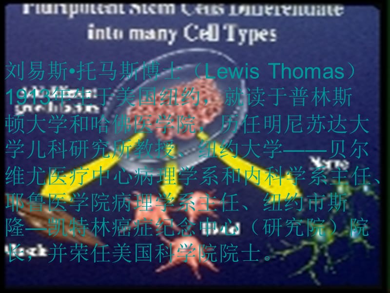 高中语文 12 作为生物的社会课件 新人教版必修5.ppt_第3页