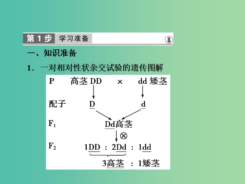 高中生物第一章遗传因子的发现第2节孟德尔的豌豆杂交实验二课件新人教版.ppt_第2页