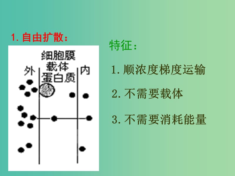 高中生物《4.3 物质跨膜运输的方式》课件 新人教版必修1.ppt_第3页