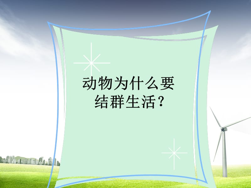 《社会行为》PPT课件.ppt_第3页