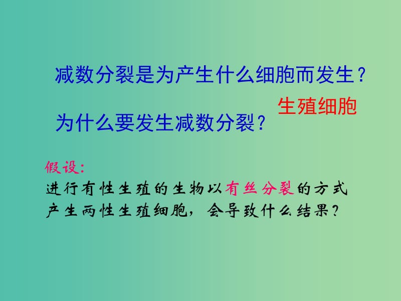 高中生物 2.1 减数分裂和受精作用课件 新人教版必修2.ppt_第2页