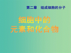 高中生物 第二章 第一節(jié) 細胞中的元素和化合物課件 新人教版必修1.ppt