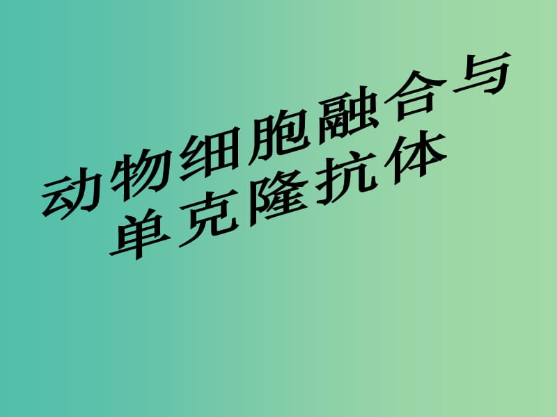 高中生物 专题2 动物细胞的融合与单克隆抗体课件 新人教版必修3.ppt_第2页