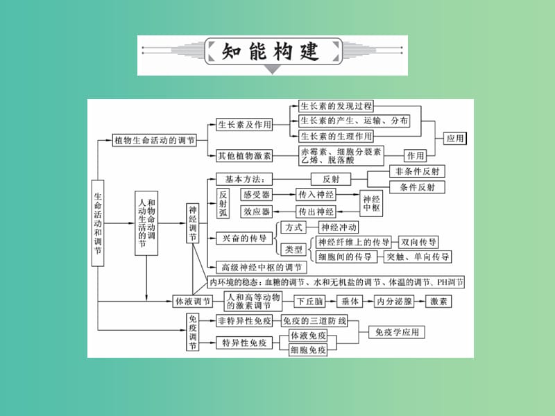 高三生物二轮复习 专题精讲五 生命活动的调节 第1讲 人体的内环境稳态和动物生命活动的调节课件.ppt_第2页