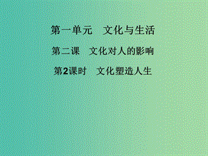 高中政治 第二課 第2課時 文化塑造人生課件 新人教版必修3.ppt