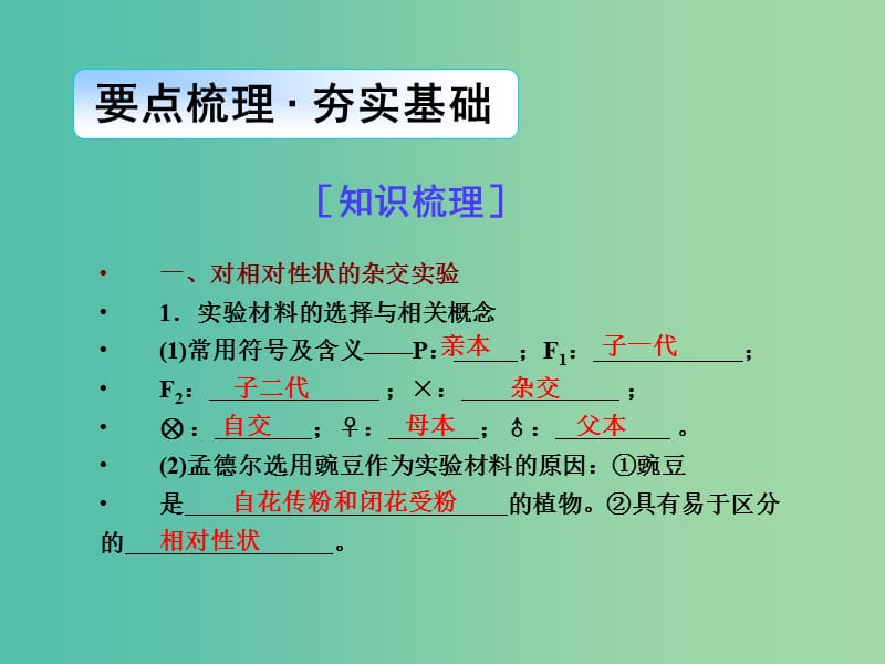 高考生物一轮总复习 第五单元 第一讲 孟德尔的豌豆杂交实验（一）课件.ppt_第3页