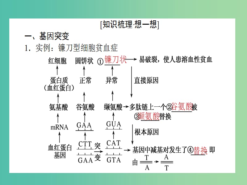 高考生物一轮复习 第5章 基因突变及其他变异 第1节 基因突变和基因重组课件 新人教版必修2.ppt_第3页