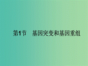 高考生物一輪復(fù)習(xí) 第5章 基因突變及其他變異 第1節(jié) 基因突變和基因重組課件 新人教版必修2.ppt