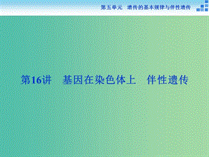 高考生物一輪復(fù)習(xí) 第五單元 第16講 基因在染色體上 伴性遺傳課件.ppt