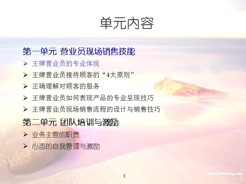 临门一脚(销售技巧).ppt_第3页