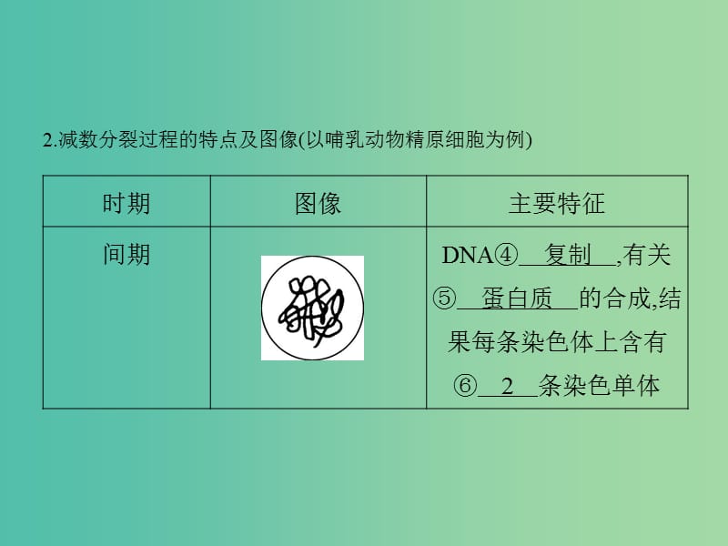 高三生物一轮复习 遗传的细胞基础课件 新人教版.ppt_第2页