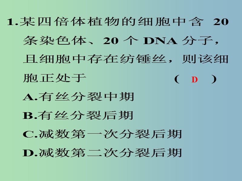 2019版高考生物《13讲 减数分裂》复习课件.ppt_第1页