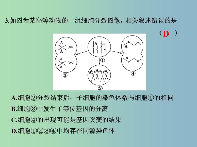 2019版高考生物《13讲 减数分裂》复习课件.ppt_第3页