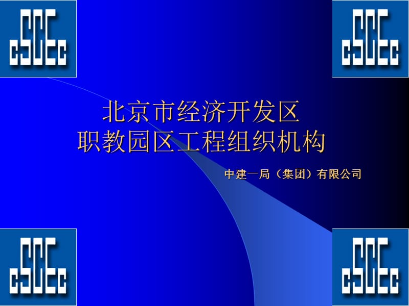 一个项目组织结构图.ppt_第1页