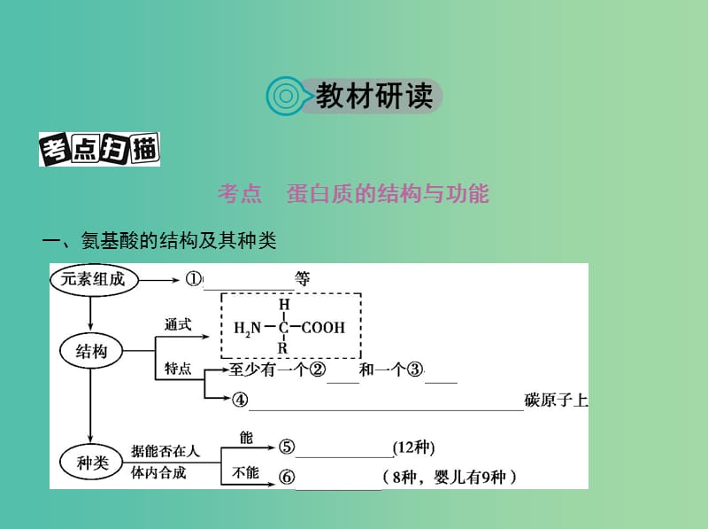 高考生物一轮复习分子与细胞第1单元细胞的分子组成第2讲生命活动的主要承担者--蛋白质课件.ppt_第2页