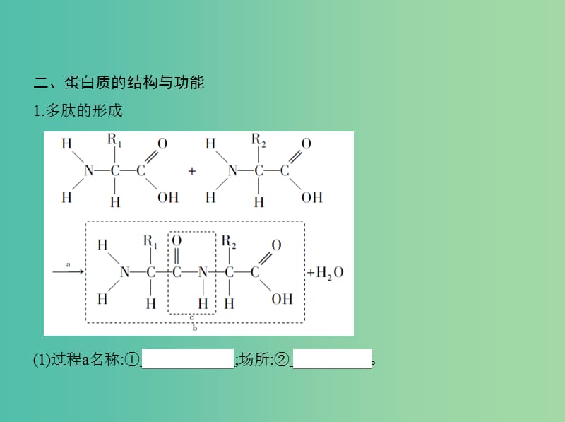 高考生物一轮复习分子与细胞第1单元细胞的分子组成第2讲生命活动的主要承担者--蛋白质课件.ppt_第3页