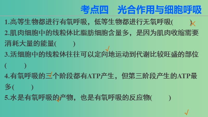 高三生物第二轮复习 第二篇 考点四 光合作用与细胞呼吸课件 新人教版.ppt_第2页