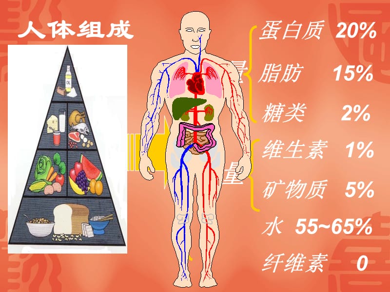 人体必须的七大营养素.ppt_第2页