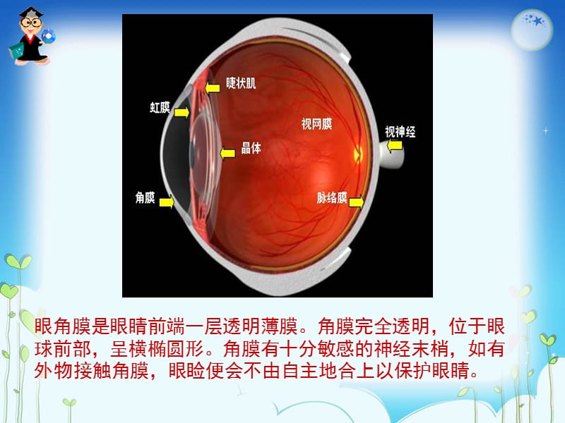 《永生的眼睛》PPT课件.ppt_第2页