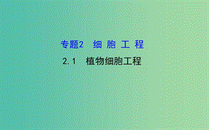 高三生物第一輪復習 專題2 1植物細胞工程課件 新人教版選修3.ppt