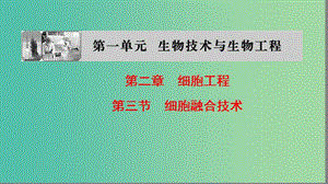 高中生物第一單元生物技術與生物工程第二章細胞工程第3節(jié)細胞融合技術課件中圖版.ppt