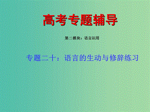 高考語文 專題 語言的生動與修辭練習(xí)復(fù)習(xí)課件.ppt