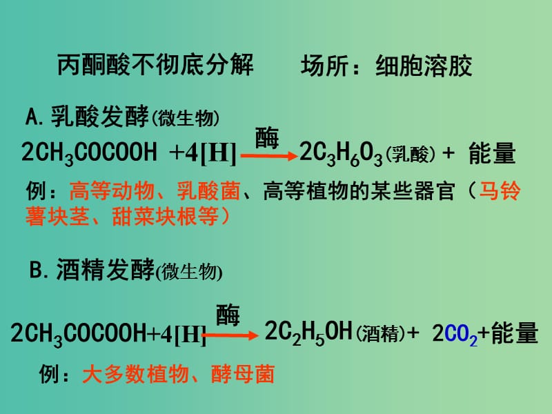 高中生物《54 能量之源 光与光合作用》课件 新人教版必修1.ppt_第3页