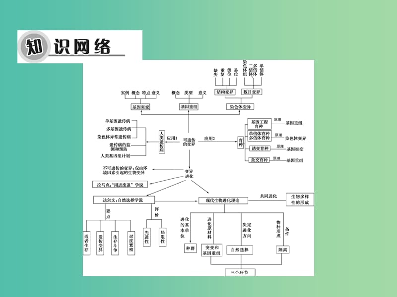 高考生物大一轮复习 阶段整合提升课件3 新人教版必修2.ppt_第2页