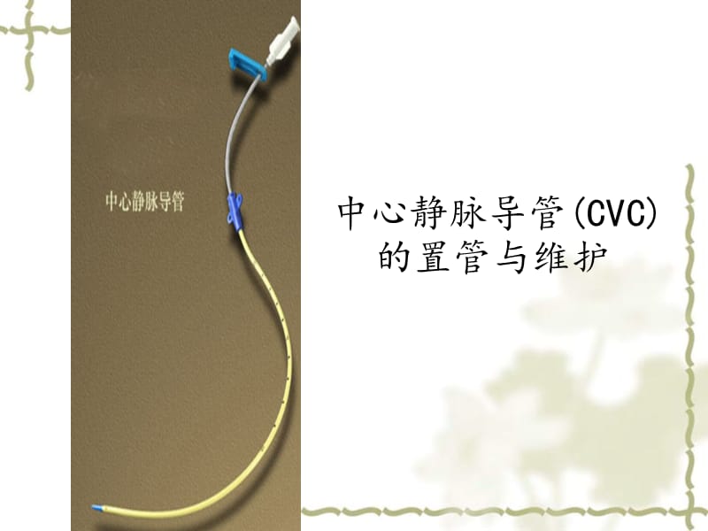 中心静脉导管(CVC)的置管与维护.ppt_第1页