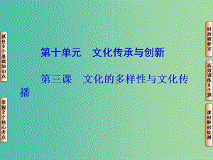 高考政治一輪復(fù)習(xí) 第十單元 第三課 文化的多樣性與文化傳播課件.ppt