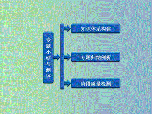 高中歷史 專題1 專題小結與測評課件 人民版選修2.ppt