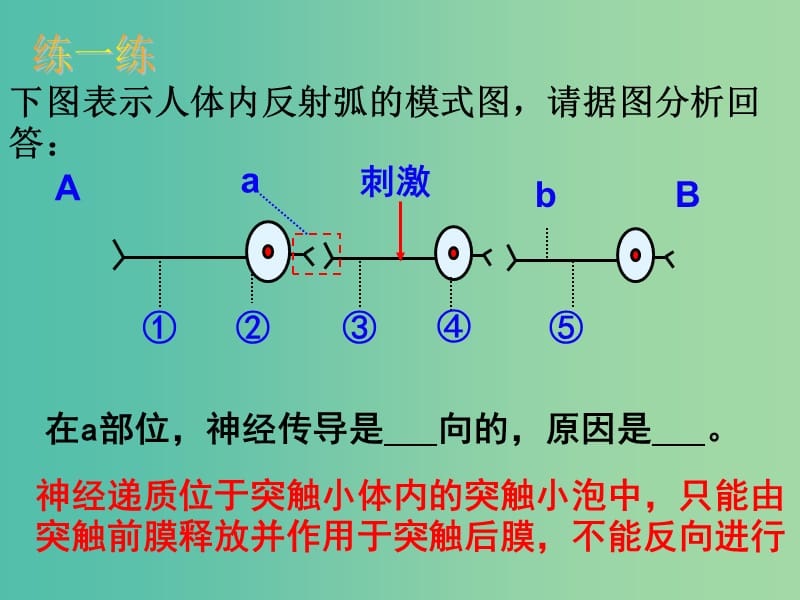 高中生物 第二章 第2节 神经系统的结构和功能第3课时课件 浙科版必修3.ppt_第1页