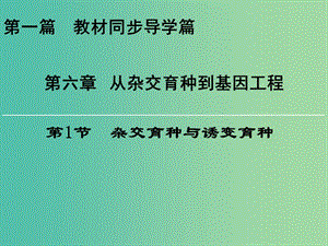 高中生物第六章從雜交育種到基因工程第1節(jié)雜交育種與誘變育種課件新人教版.ppt