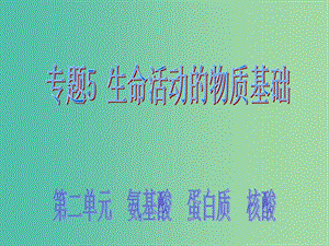 高中化學(xué) 5.2《氨基酸 蛋白質(zhì) 核酸》課件2 蘇教版選修5.ppt