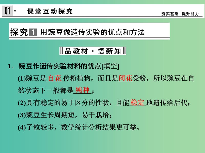 高中生物 1.1孟德尔的豌豆杂交实验（一）课件 新人教版必修2.ppt_第3页