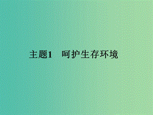 高中化學(xué) 1.1 關(guān)注空氣質(zhì)量課件 魯科版選修1.ppt