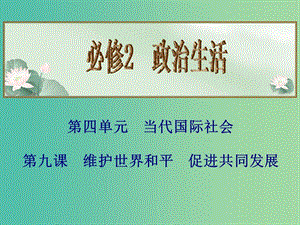 高中政治 第9課 維護世界和平 促進共同發(fā)展課件2 新人教版必修2.ppt