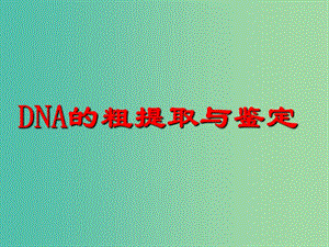 高中生物 DNA粗提取與鑒定課件 蘇教版選修1.ppt