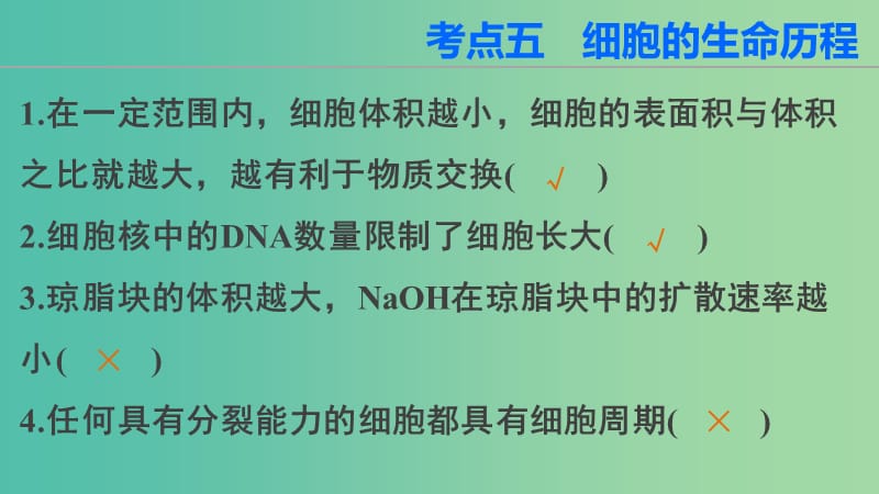 高三生物第二轮复习 第二篇 考点五 细胞的生命历程课件 新人教版.ppt_第2页