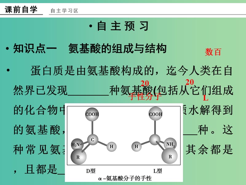 高中化学 专题5 生命活动的物质基础 5.2.1 氨基酸课件 苏教版选修5.ppt_第3页