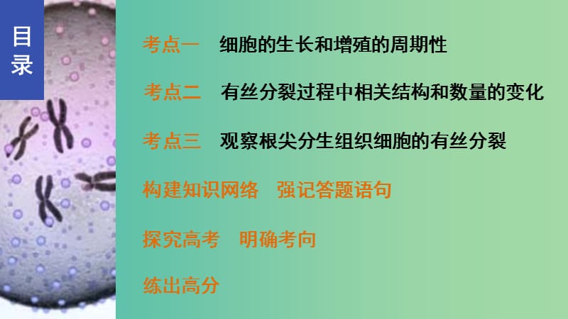 高考生物 细胞的增殖课件 新人教版必修1.ppt_第2页