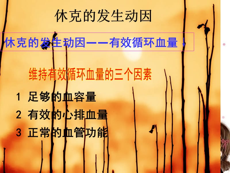 休克患者的观察及护理.ppt_第3页