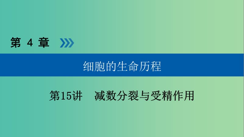 高考生物大一轮复习第15讲减数分裂与受精作用优盐件.ppt_第1页