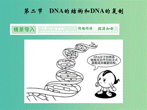 高中生物 4.2DNA的結(jié)構(gòu)和DNA的復(fù)制課件 蘇教版必修2.ppt