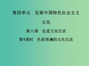 高中政治 第八課 第1課時 色彩斑斕的文化生活課件 新人教版必修3.ppt