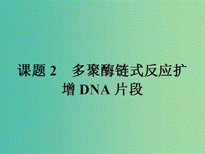 高中生物專題5DNA和蛋白質(zhì)技術(shù)5.2多聚酶鏈?zhǔn)椒磻?yīng)擴(kuò)增DNA片段課件新人教版.ppt