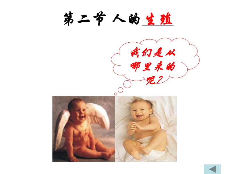 《人的生殖》PPT课件.ppt_第1页