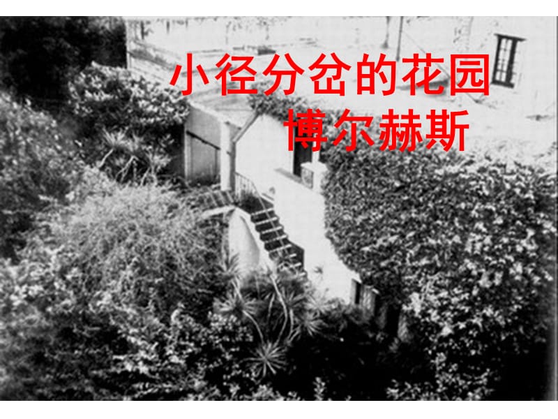 《小径分岔的花园》要点分析.ppt_第1页