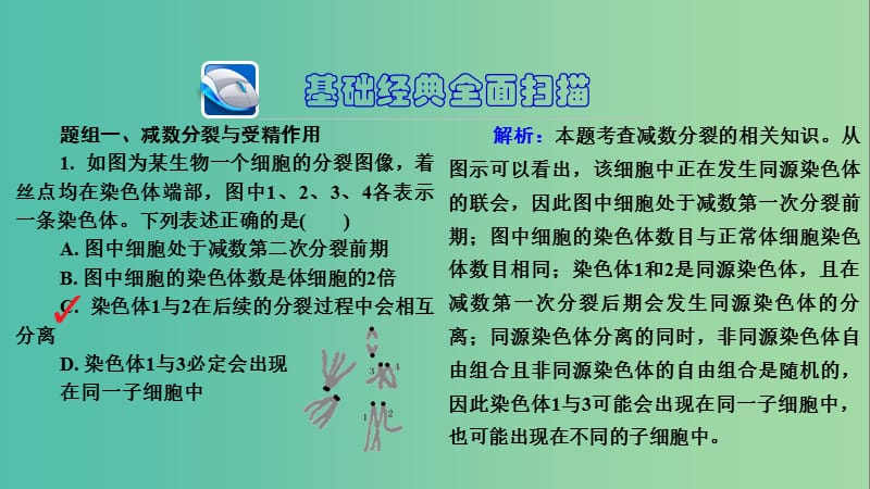 高三生物第一轮总复习 第一编 考点过关练 考点16 减数分裂与受精作用课件.ppt_第3页